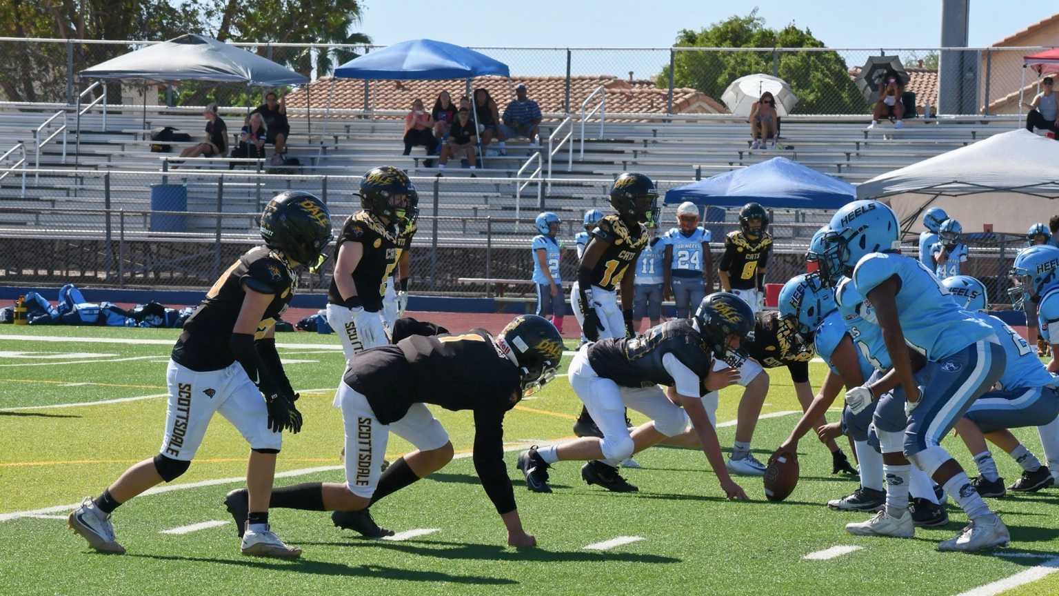 Sabercats lined up at the line of scrimmage during a game
